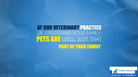 Pets - Veterinarian